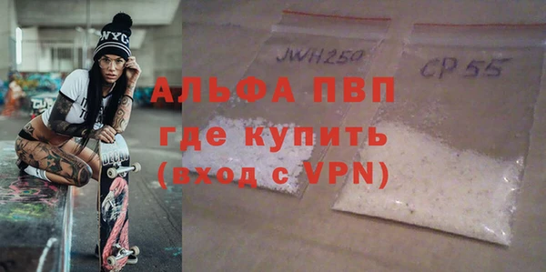 гашик Дмитров