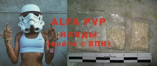 гашик Дмитров