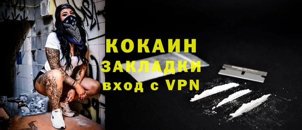 гашик Дмитров