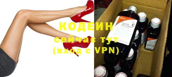 гашик Дмитров
