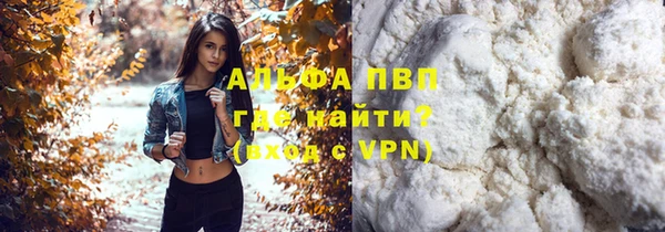 гашик Дмитров