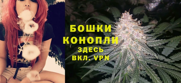 соль ск Дмитровск