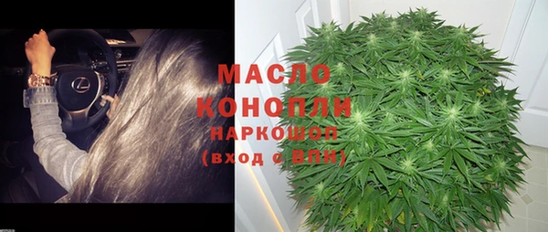 гашик Дмитров
