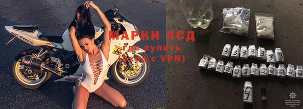 ПСИЛОЦИБИНОВЫЕ ГРИБЫ Гусев