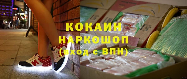 гашик Дмитров
