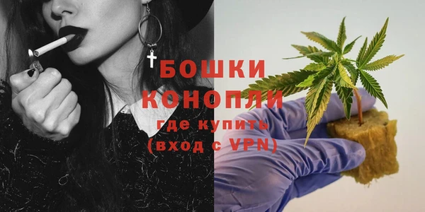 гашик Дмитров