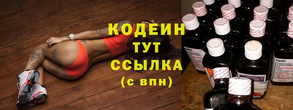 гашик Дмитров